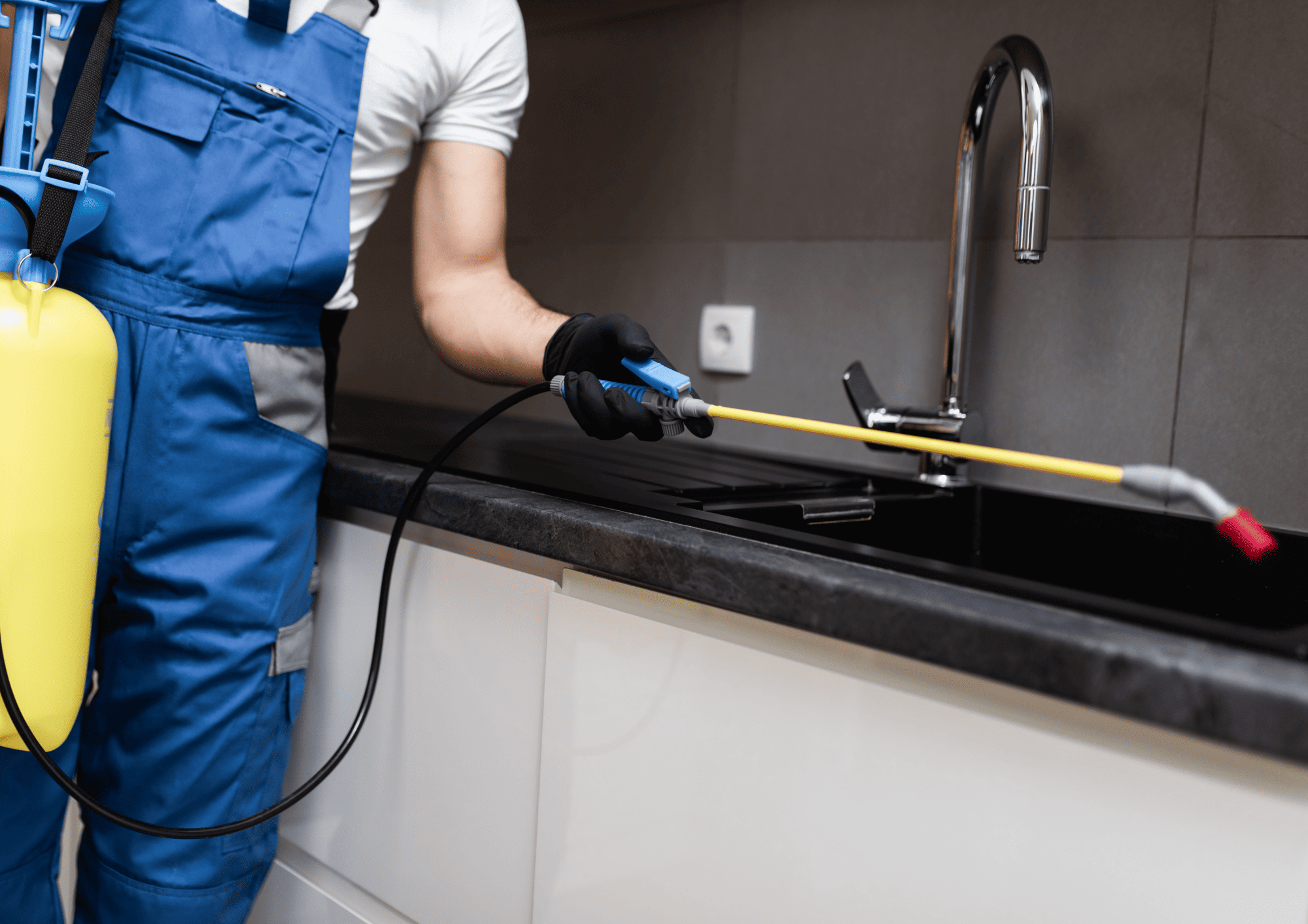 Descupinizadora em São Paulo